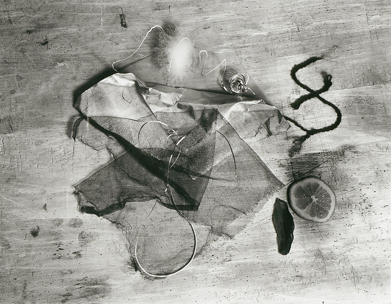 Walter Peterhans, „Ophelia (Stilleben mit Zitronenscheibe, Tüll und Federn)“, um 1929, Neuabzug um 1966 / Bauhaus-Archiv Berlin, © Walter Peterhans, Museum Folkwang, Essen